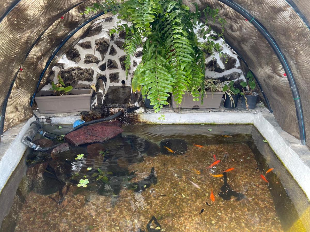 Vistamar La Caleta Villa ลากาเลตา ภายนอก รูปภาพ