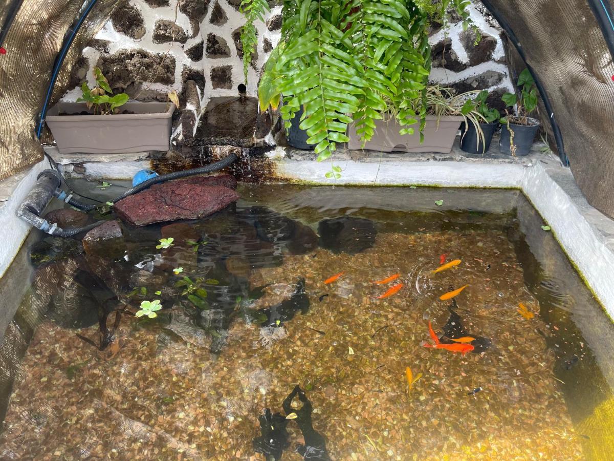Vistamar La Caleta Villa ลากาเลตา ภายนอก รูปภาพ